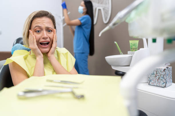Best Broken or Chipped Tooth Repair in St Paul Park, MN